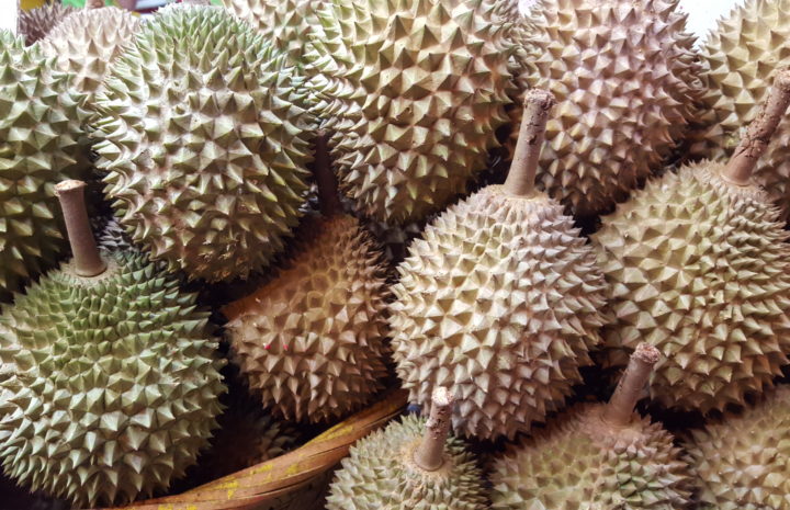 The Most Important Things To Know When You Buy MSW Durian